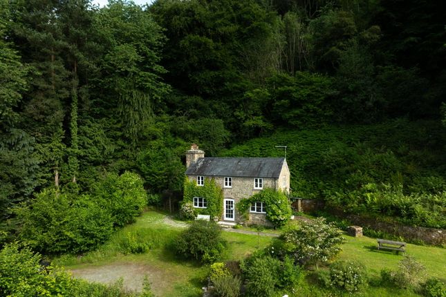 Woodland Cottage, Howle Hill, Ross-on-Wye photo 2