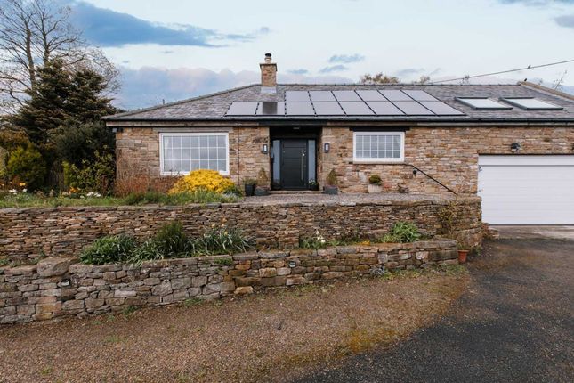 Thumbnail Detached house for sale in Orchard House, Thorngrafton, Hexham, Northumberland
