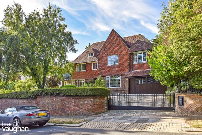 Thumbnail Detached house for sale in Woodruff Avenue, Hove, East Sussex