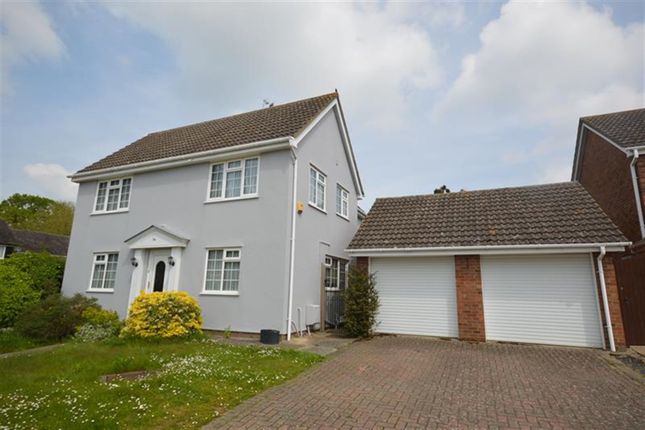 Thumbnail Detached house to rent in Coniston Close, Great Notley, Braintree