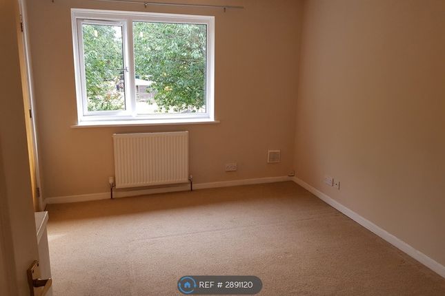 Brookwood Avenue, Birmingham photo 4