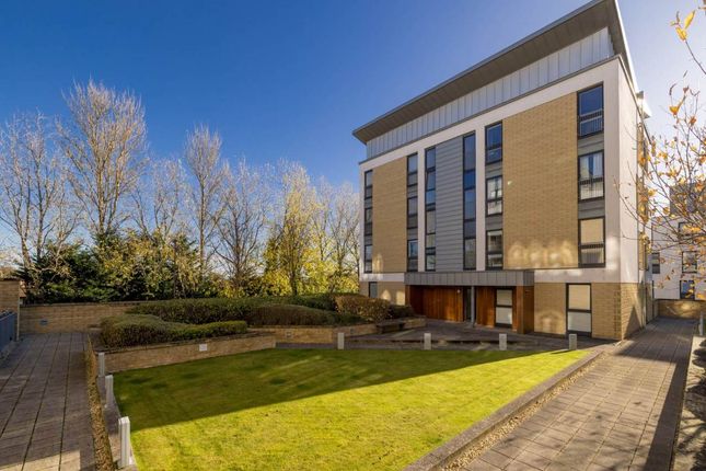 76329_Kimmerghamedrive_001