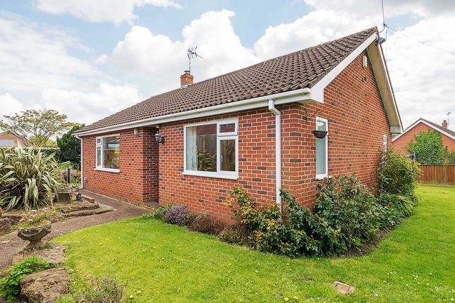 Thumbnail Detached bungalow for sale in Hillcommon, Taunton