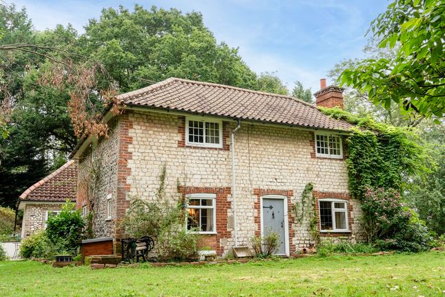 Thumbnail Detached house for sale in Didlington, Thetford