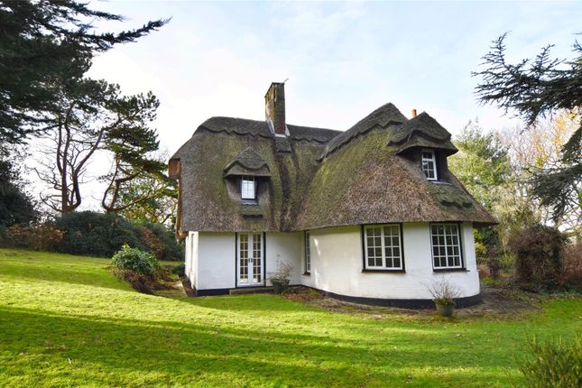 Thumbnail Detached house for sale in Cliff End Lane, Pett Level, Hastings