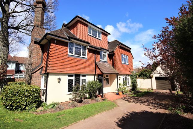 Thumbnail Detached house for sale in Westcourt Drive, Bexhill-On-Sea