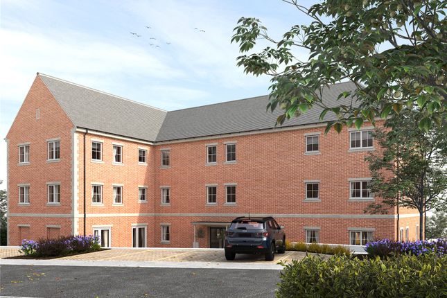 External Cgi