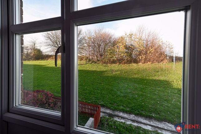29, Whyndyke, Gateshead photo 5