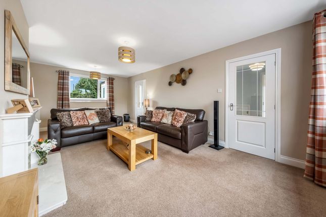 32, Torridon Road, Dundee photo 4