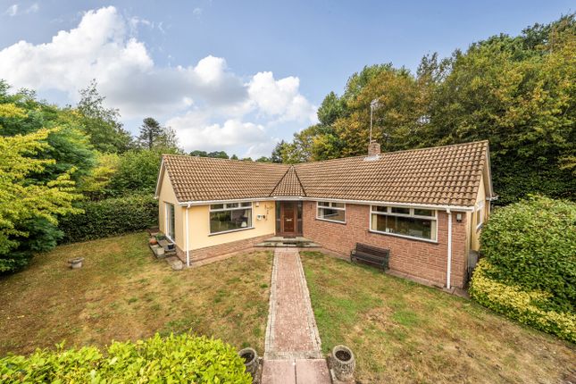 2-bed bungalow on Silver Birches,, Chads Hill, Bridgwater, £350,000