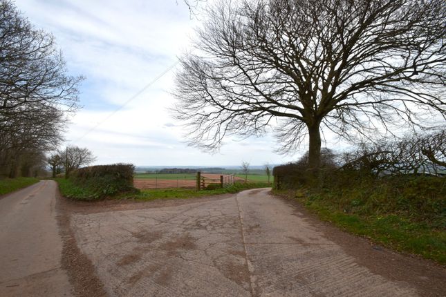 Bradninch Seddons