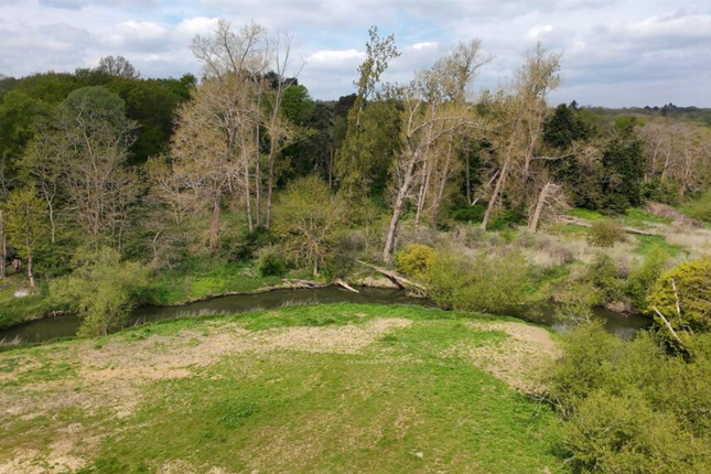 Alba Stables, Bridge Way, Cobham photo 3