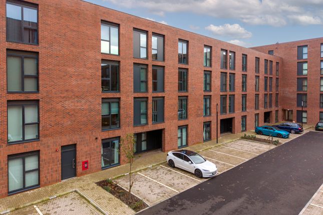 Dji_20251106144353_0052_D-Edit