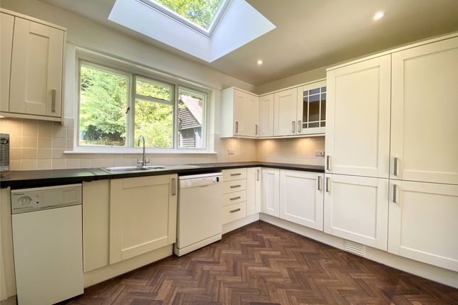 Bungalow to rent in Holmbury St. Mary, Surrey