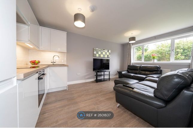 Open Plan Kitchen/ Lounge And Leather Sofas