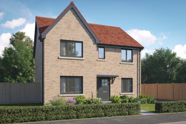 Broadacre Way, Chellaston photo 4