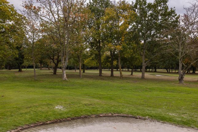 The Warren Drive, E11