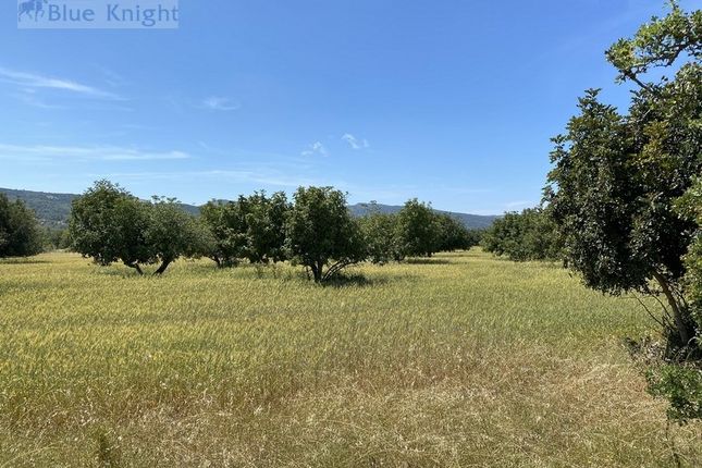 Thumbnail Land for sale in Neo Chorio, Cyprus
