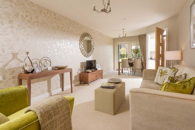 Show Home Living Room