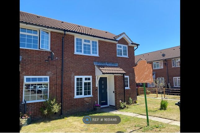 Thumbnail Semi-detached house to rent in Snowdon Close, Eastbourne