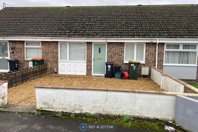 Thumbnail Bungalow to rent in Westmoor Close, Casnewydd