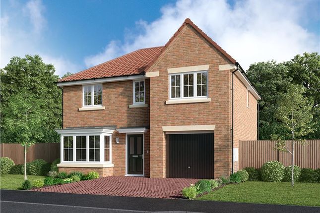 Detached house for sale in "The Maplewood" at Off Durham Lane, Eaglescliffe
