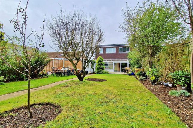 Semi-detached bungalow for sale in Branscombe Close, Frinton-On-Sea