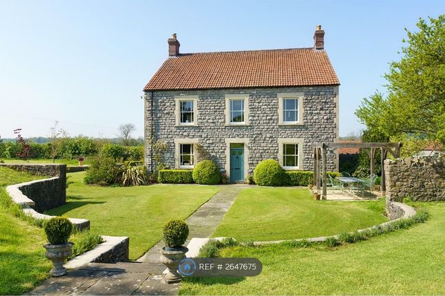 South Side Of The House/Side Door