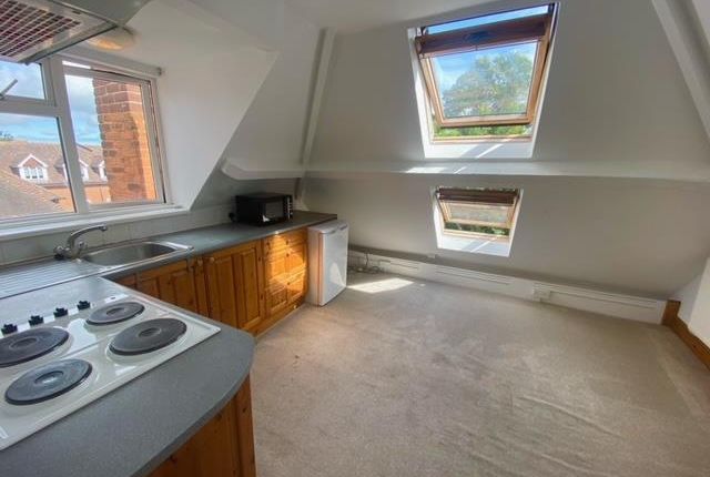31, CANTERBURY photo 3