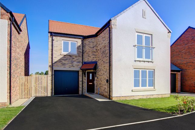Detached house for sale in The Chestnut, Plot 17, Middleton Waters