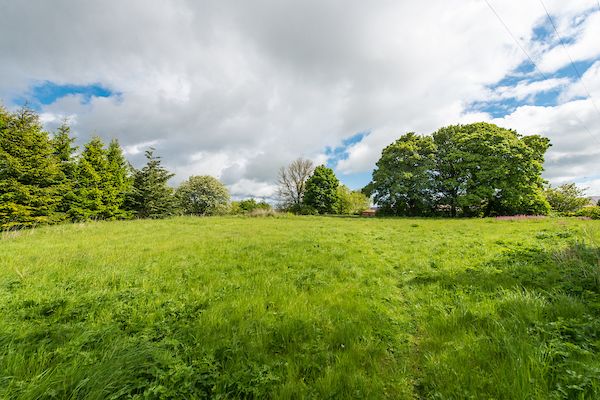 Thumbnail Land for sale in Land At Raw Cottages, East Calder
