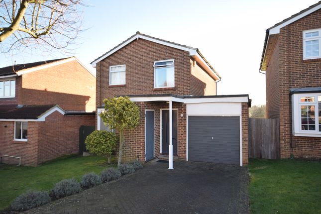 Thumbnail Detached house to rent in Stapleton Road, Orpington