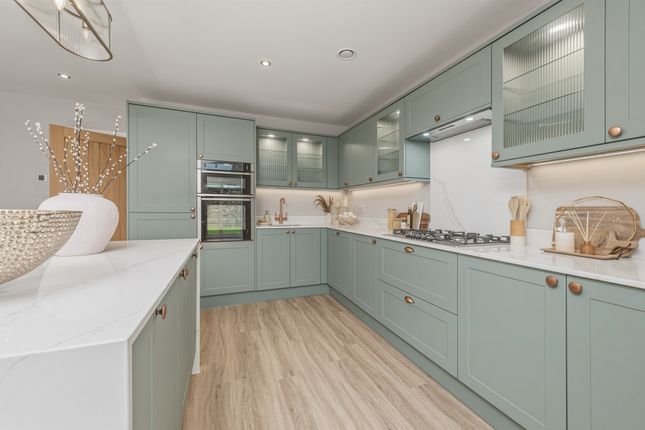 Plot 14, The Celadon, Bluebell Meadows, Netherthong photo 3