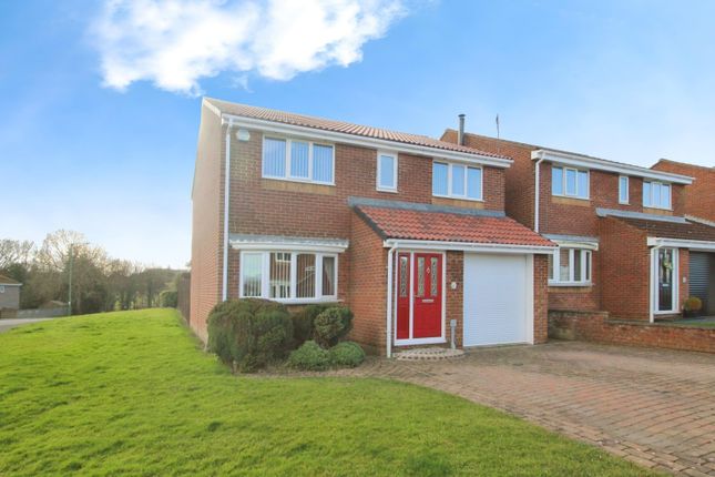 Thumbnail Detached house for sale in Woodburn, Tanfield Lea, Stanley, Durham