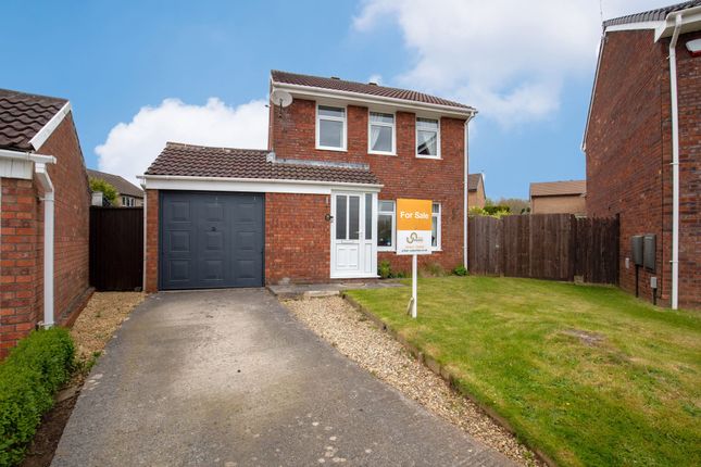 Thumbnail Detached house for sale in Sheerwater Close, St. Mellons
