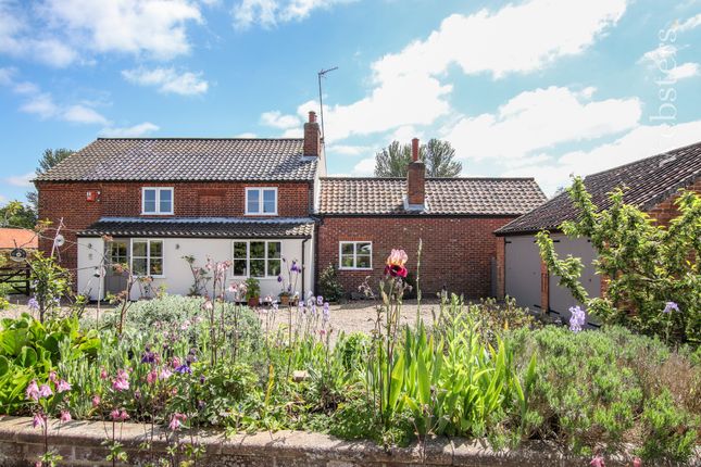 Thumbnail Detached house for sale in Mill Lane, Claxton, Norwich