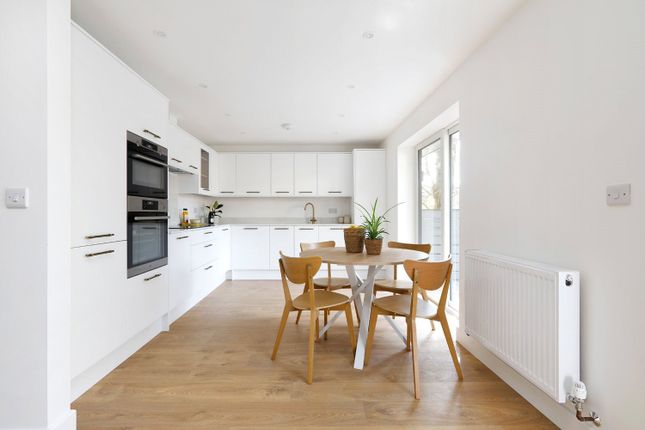 Thumbnail Detached house to rent in Hollingdean Terrace, Brighton, East Sussex