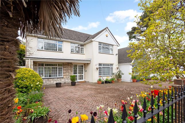 Thumbnail Detached house for sale in Motcombe Road, Poole, Dorset