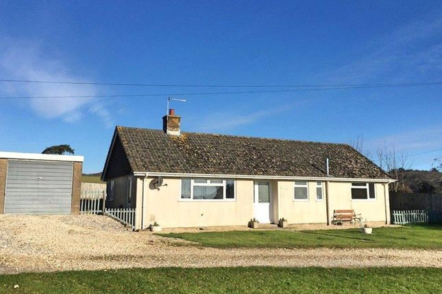 Thumbnail Detached bungalow to rent in Tincleton, Dorchester