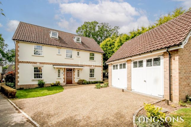 Thumbnail Detached house to rent in Thedwastre Road, Bury St Edmunds