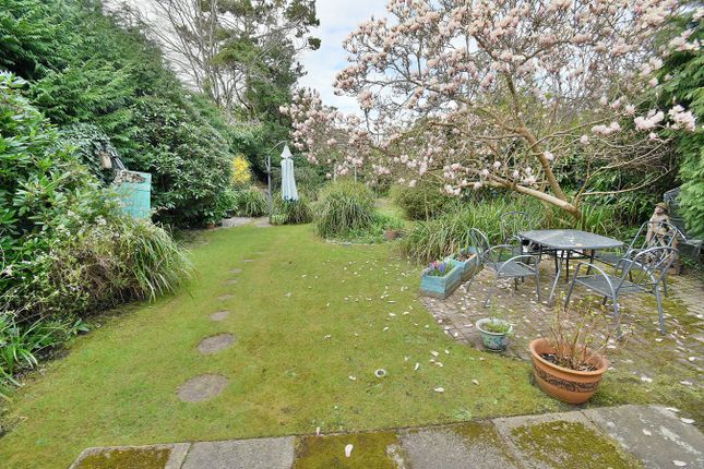 421, Ringwood Road, Ferndown photo 2