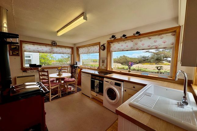 The Sheiling, Brough, Thurso photo 4