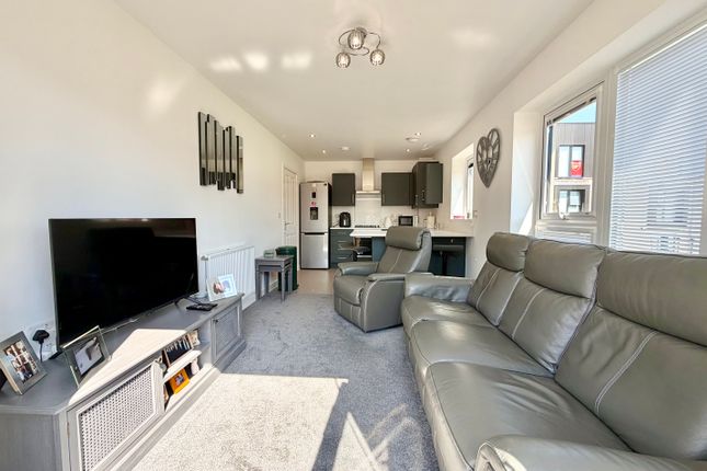 20, Dol Glaswg, Cardiff photo 3