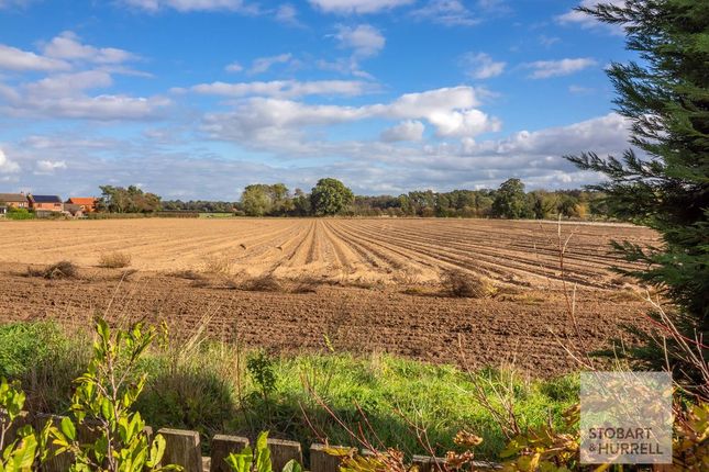 Woodview, North Walsham photo 3