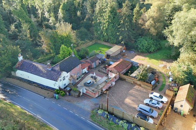 The Yews, Aylsham Road, North Walsham photo 3