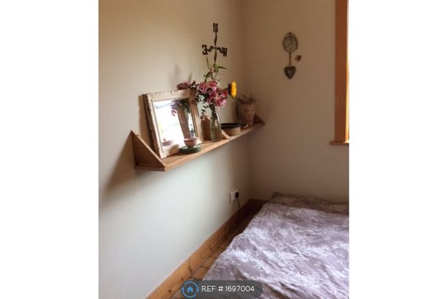 Semi-detached house to rent in Firle Road, Brighton