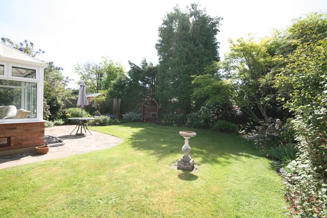 Detached bungalow to rent in Post House Lane, Great Bookham