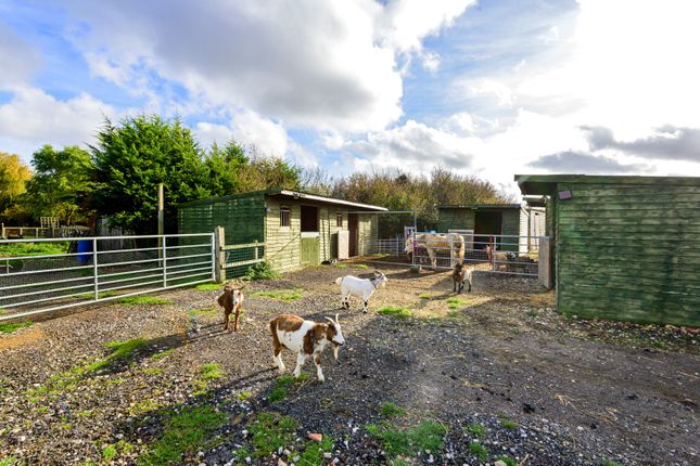 Farm for sale in Huttoft Road, Sutton-On-Sea, Mablethorpe