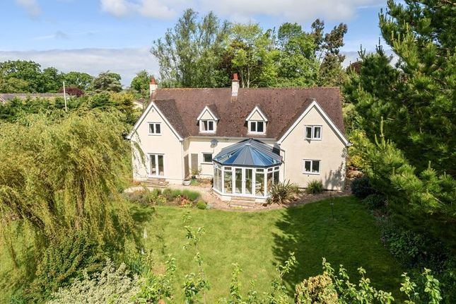 Thumbnail Detached house for sale in Mill Lane, Exton, Exeter