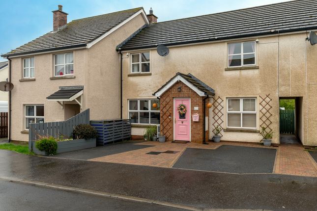 Thumbnail Town house for sale in 27 Mcbriar Meadow, Carrowdore, Newtownards, County Down